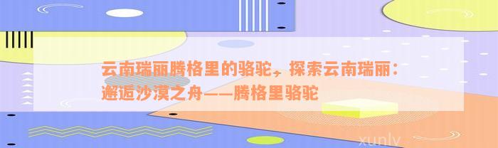 云南瑞丽腾格里的骆驼，探索云南瑞丽：邂逅沙漠之舟——腾格里骆驼