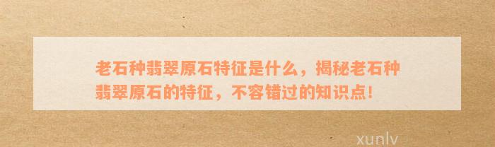 老石种翡翠原石特征是什么，揭秘老石种翡翠原石的特征，不容错过的知识点！