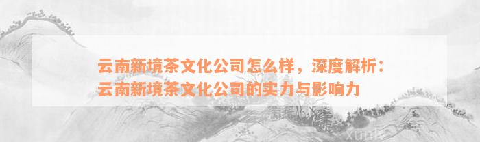 云南新境茶文化公司怎么样，深度解析：云南新境茶文化公司的实力与影响力