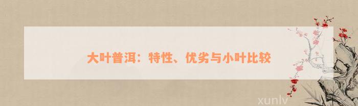 大叶普洱：特性、优劣与小叶比较