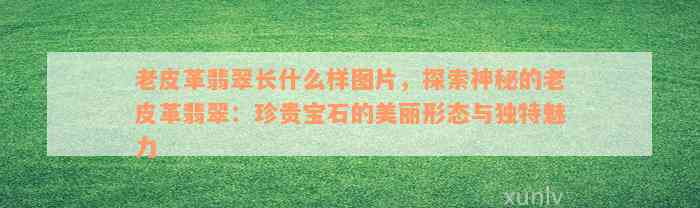 老皮革翡翠长什么样图片，探索神秘的老皮革翡翠：珍贵宝石的美丽形态与独特魅力