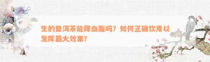 生的普洱茶能降血脂吗？如何正确饮用以发挥最大效果？