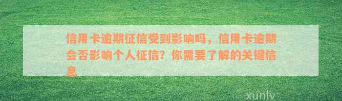 信用卡逾期征信受到影响吗，信用卡逾期会否影响个人征信？你需要了解的关键信息