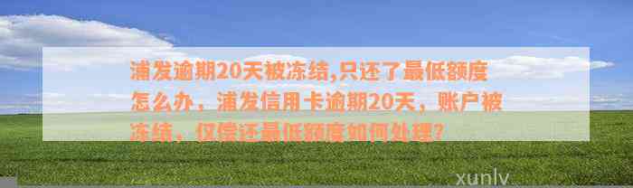 浦发逾期20天被冻结,只还了最低额度怎么办，浦发信用卡逾期20天，账户被冻结，仅偿还最低额度如何处理？