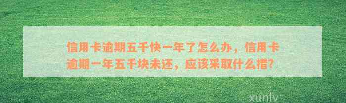 信用卡逾期五千快一年了怎么办，信用卡逾期一年五千块未还，应该采取什么措？