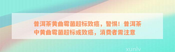 普洱茶黄曲霉菌超标致癌，警惕！普洱茶中黄曲霉菌超标或致癌，消费者需注意