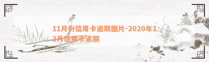 11月份信用卡逾期图片-2020年12月信用卡逾期