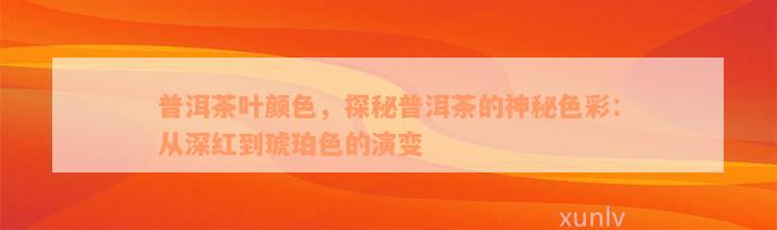 普洱茶叶颜色，探秘普洱茶的神秘色彩：从深红到琥珀色的演变