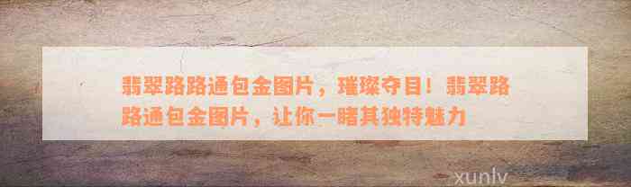 翡翠路路通包金图片，璀璨夺目！翡翠路路通包金图片，让你一睹其独特魅力