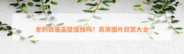 老的翡翠玉璧值钱吗？高清图片欣赏大全